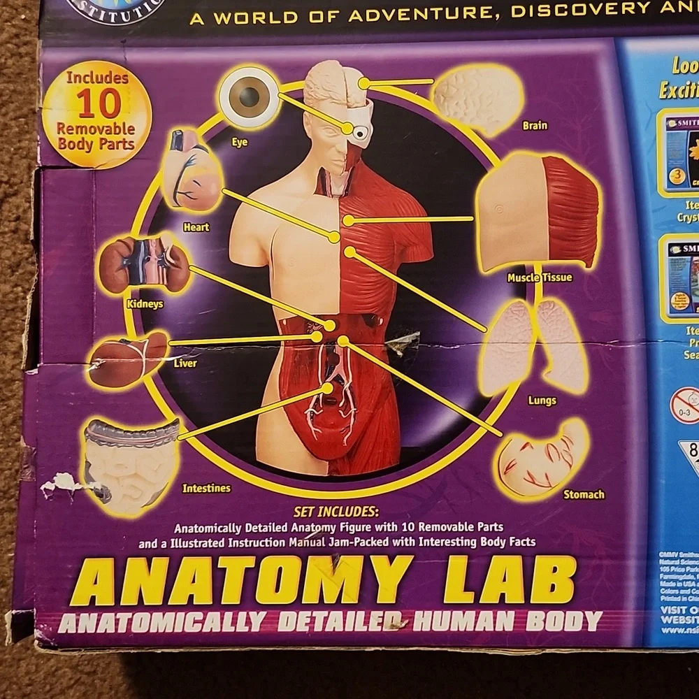 Anatomy lab Smithsonian science open box human body organs puzzle learning